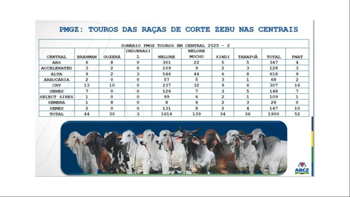 Sumário PMGZ da ABCZ possui o maior número de touros avaliados presentes nas centrais de IA